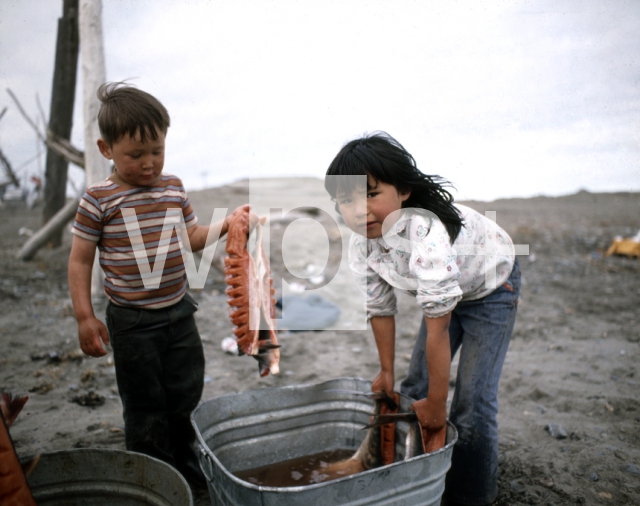 ｜干物を作る作業を手伝うイヌイット族の子供たち