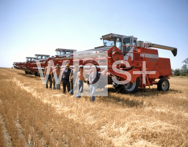 ｜小麦の収穫、コンバインの前に立つ農業従事者たち