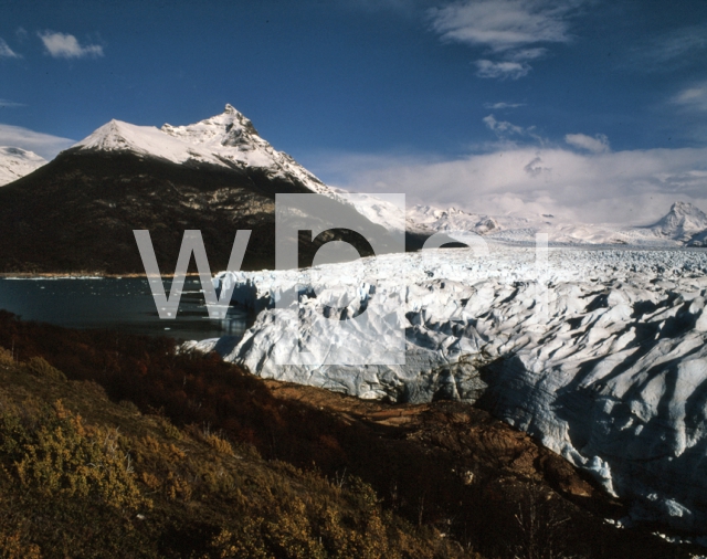 ｜ペリト・モレノ氷河とアルヘンティーノ湖の河口、リコ水道