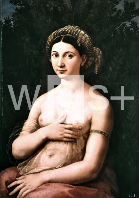 RAFFAELLO Sanzio｜若い婦人の肖像（ラ・フォルナリーナ）