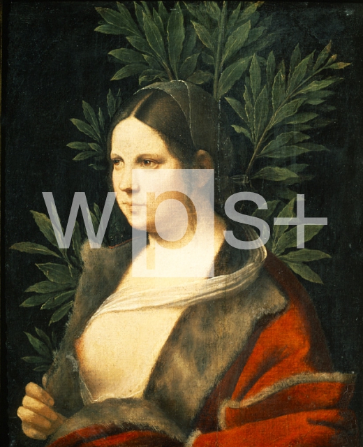 GIORGIONE (Giorgio da Castelfranco)｜若い女性の肖像、ラウラ