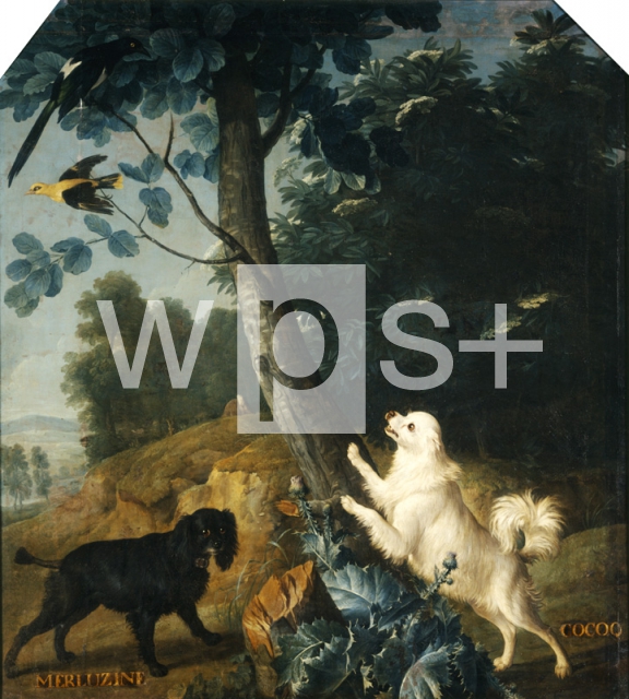 DESPORTES Alexandre-Francois｜ルイ14世の犬：メールジヌとココ