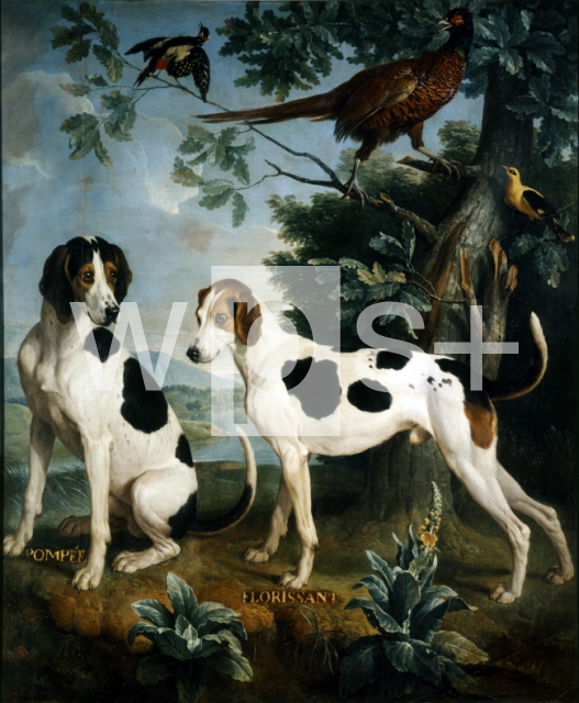 DESPORTES Alexandre-Francois｜ルイ14世の犬：ポンペとフロリサン