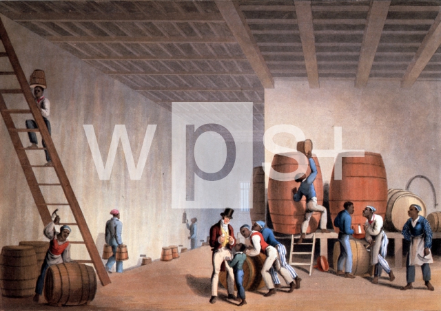 CLARK William｜ラム酒の製造工場で熟練工の奴隷によって見本を造っている光景