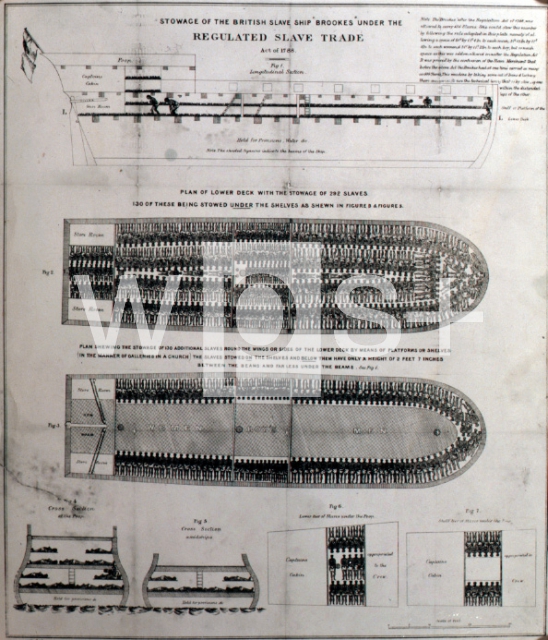 ｜イギリスで建造した奴隷輸送船「ブルックス号」の図面
