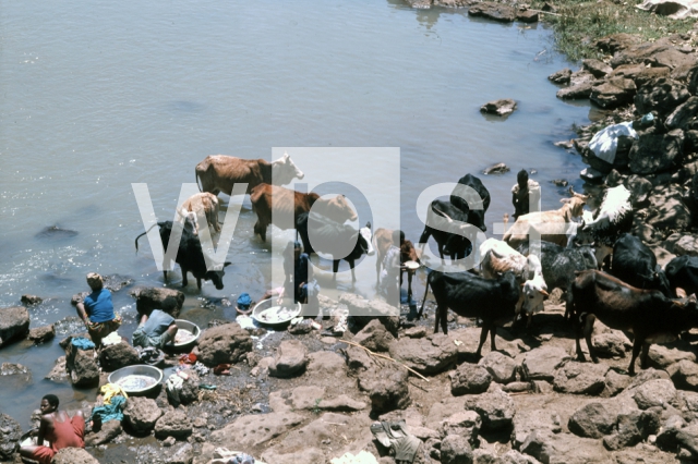 ｜青ナイル川で洗濯をする村人