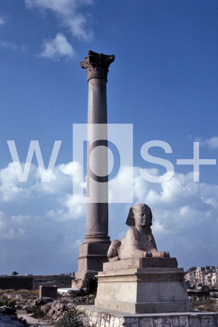 ｜ポンペイウス記念柱と新王国時代のスフィンクス