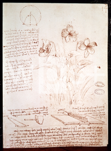 LEONARDO DA VINCI｜ダ・ヴィンチの自筆原稿「植物と抽出方法」