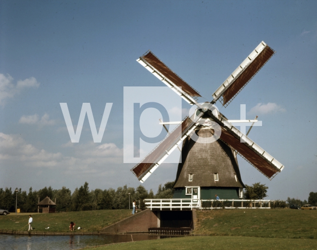｜アムステルダム郊外の風車のある風景