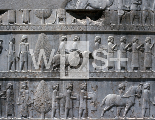 ｜ペルセポリス、アパダナ（謁見の間）基壇東側壁