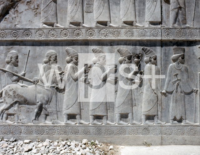 ｜ペルセポリス、アパダナ（謁見の間）東側大階段レリーフ