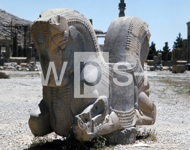 ｜ペルセポリス遺跡、双頭の馬の柱頭装飾