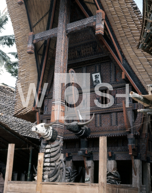 ｜パラワ村にあるトラジャ族の伝統家屋