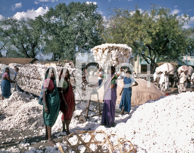 ｜ドゥレーの綿工場で働く女性たち