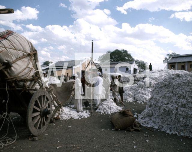 ｜ドゥレーの綿工場で積荷を下ろす作業