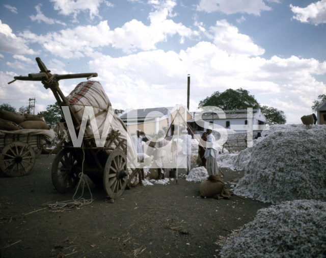 ｜ドゥレーの綿工場で積荷を下ろす作業