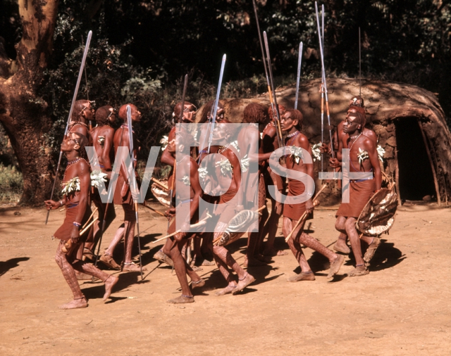 ｜マサイ族の伝統舞踊