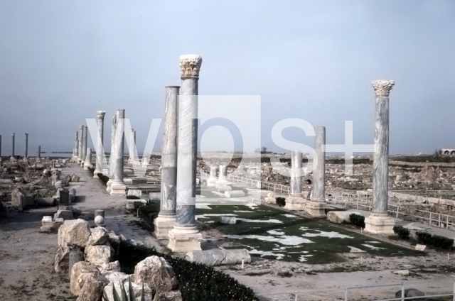 ｜ティルス遺跡の柱廊