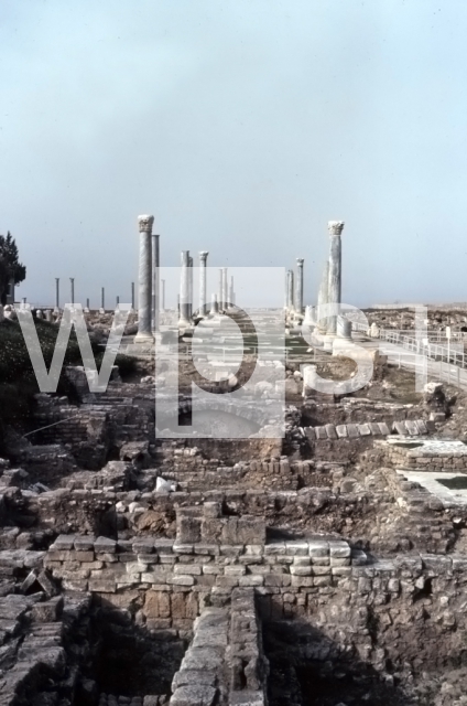 ｜ティルス遺跡の古墳と柱廊