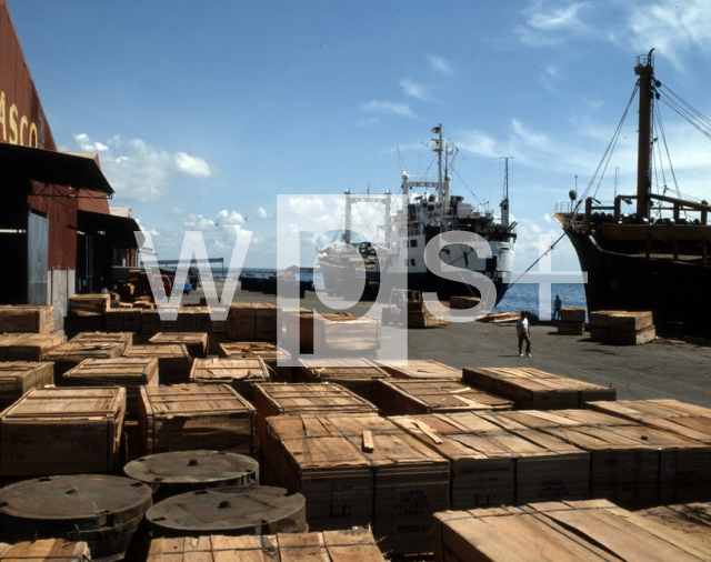 ｜ダバオの木材輸出湾