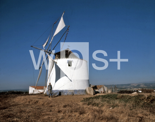 ｜ポルトガル西部の風車