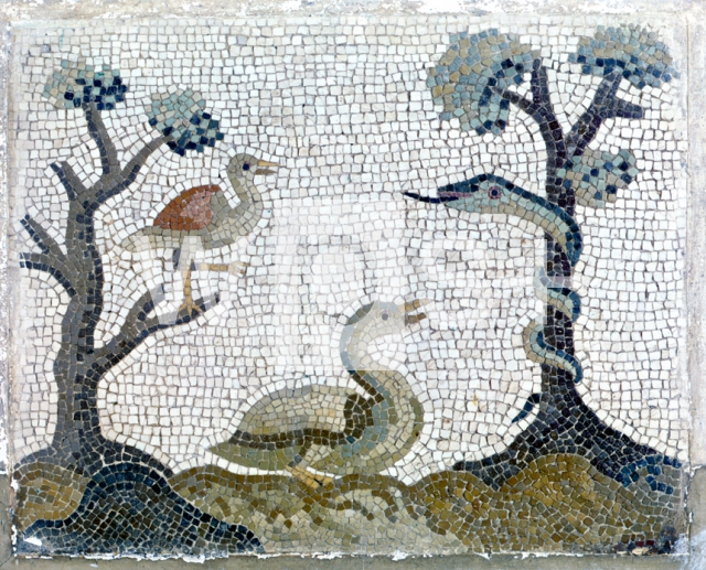 ｜蛇と鳥と木