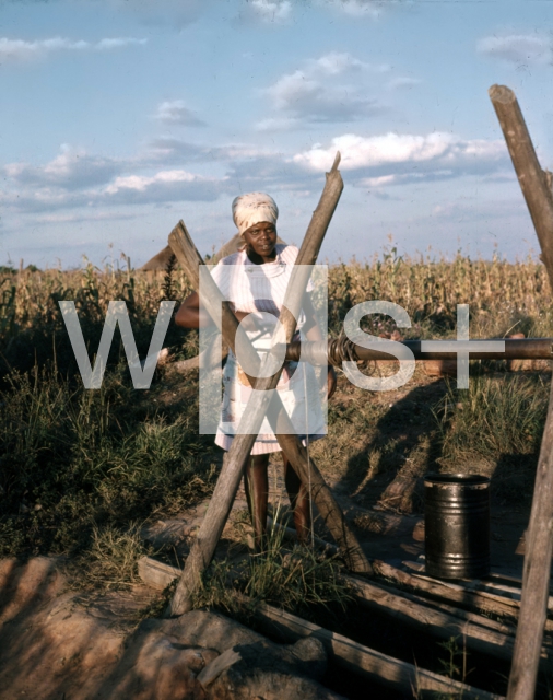 ｜井戸で水汲みをするドンボシャワの女性