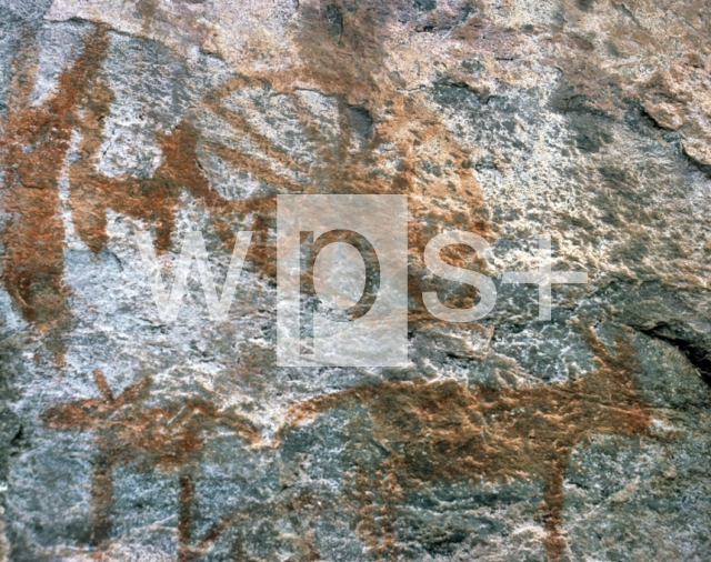 ｜ブッシュマン（サン人）の神モデマのシンボルを表す岩面画