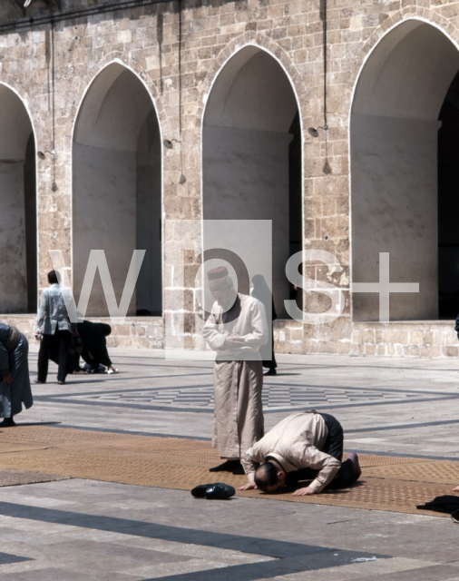 ｜ウマイヤード・モスクで礼拝する信者たち
