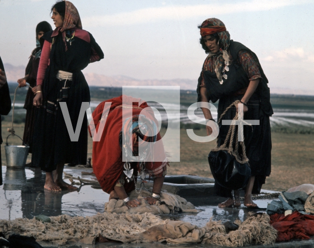 ｜井戸で洗濯をするベドウィン族の女性たち