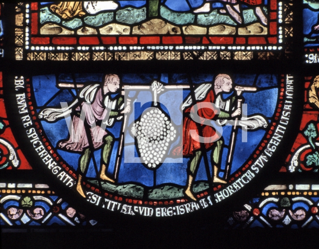 ｜カンタベリー大聖堂の聖堂コロナのステンドグラス「カナンの葡萄」