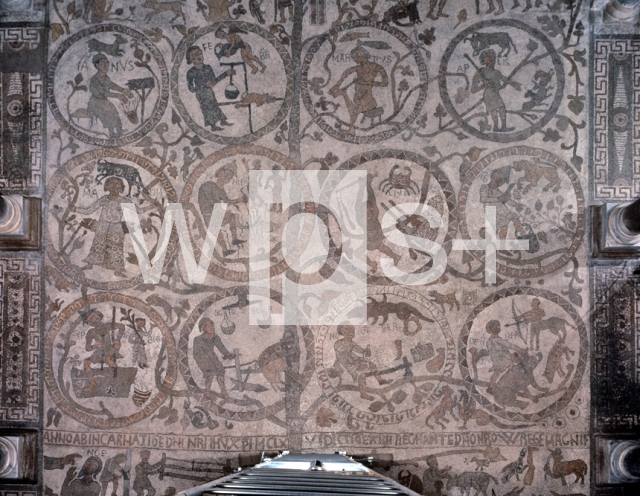 PANTALEONE Monaco｜オトラント大聖堂の中央身廊の床モザイク「天地創造の木（生命の木）」
