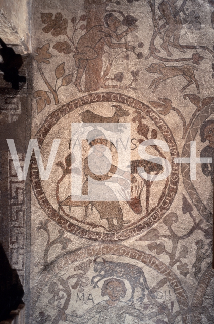 PANTALEONE Monaco｜オトラント大聖堂の中央身廊の床モザイク「天地創造の木・1月（山羊座）」