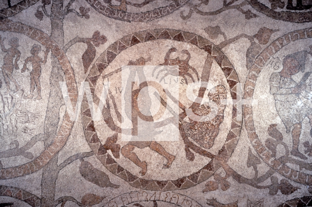 PANTALEONE Monaco｜オトラント大聖堂の中央身廊の床モザイク「天地創造の木・7月（蟹座）」