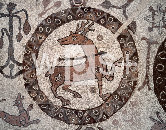 PANTALEONE Monaco｜オトラント大聖堂の聖堂内陣の床モザイク「宇宙の創造・矢傷を負う鹿」