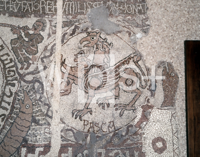 PANTALEONE Monaco｜オトラント大聖堂の聖堂内陣の床モザイク「宇宙の創造・ヒョウと雄羊」