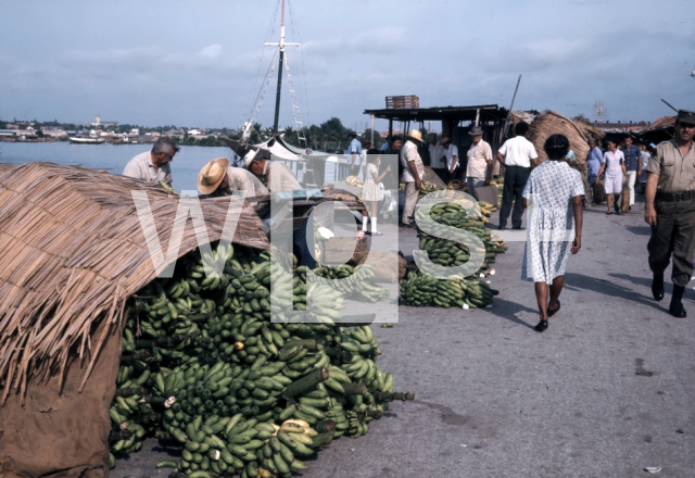 ｜港湾のバナナ市場