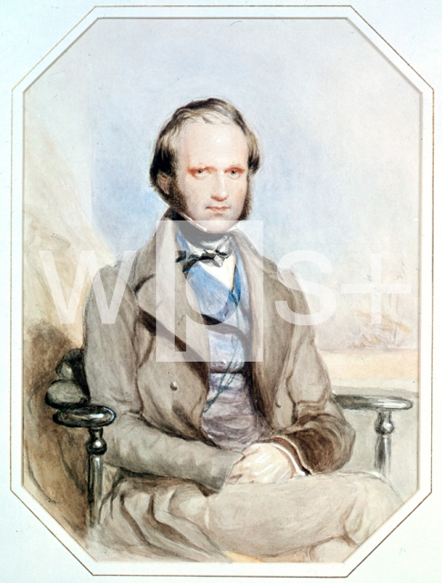 RICHMOND George｜1840年の時のチャールズ・ダーウィン