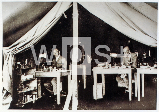 ｜コッホ、1906年東アフリカのキャンプにて