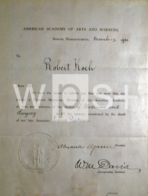 ｜アメリカ芸術科学アカデミーがコッホに宛てた手紙、1901年3月13日ボストン