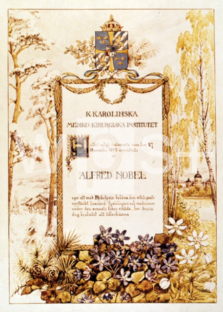 ｜エールリヒのノーベル生理･医学賞の賞状、1908年