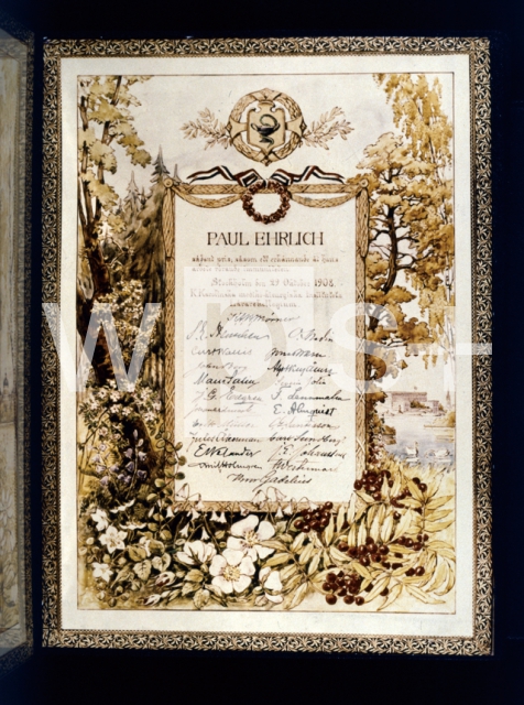 ｜エールリヒのノーベル生理･医学賞の賞状、1908年
