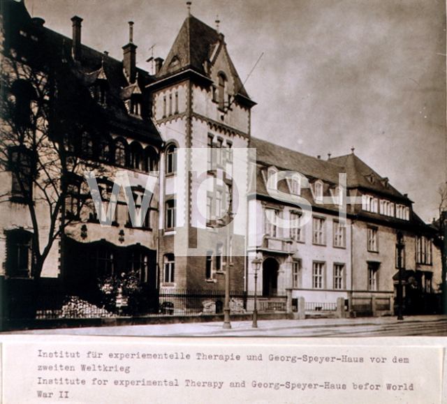 ｜第二次世界大戦前の実験治療研究所とゲオルグ・シュパイエル・ハウス