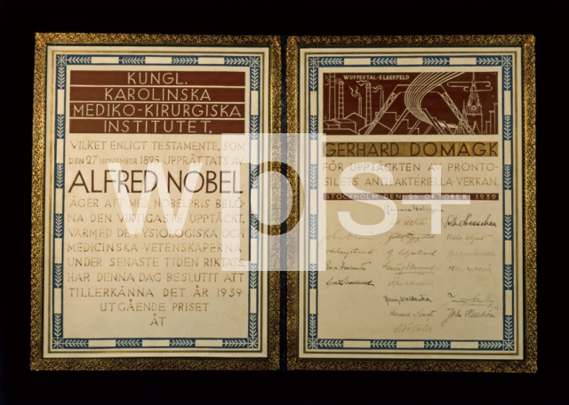 ｜ドーマクのノーベル生理学・医学賞の賞状、1939年