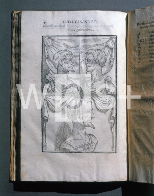 ｜タリアコッツィの形成外科学に関する著書の挿絵