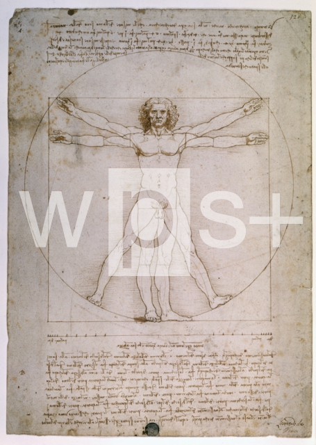 LEONARDO DA VINCI｜ウィトルウィウス的人体図