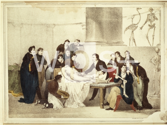 ｜解剖学講義、1826年