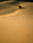 ｜デスヴァレーの砂丘
