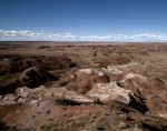 ｜化石の森国立公園「ペインテッド砂漠」