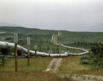 ｜アラスカ山脈近くのタイガを横断する石油パイプライン